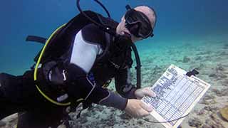 Olivier Reef Check Diver