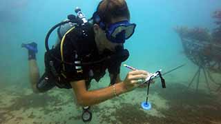 Diver collecting data