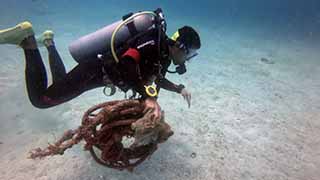 Diver collects ocean debris