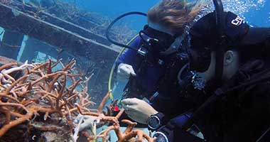 Marine Conservation Courses