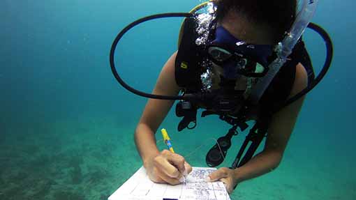 Marine Conservation Courses