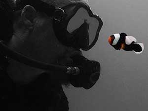Diver with Nemo
