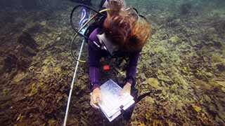 Reef Check Fish Identification