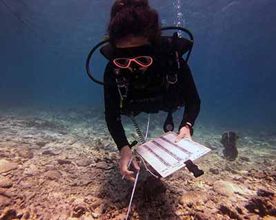 Diver surveys substrate