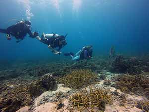 Reef Check Underwater Team